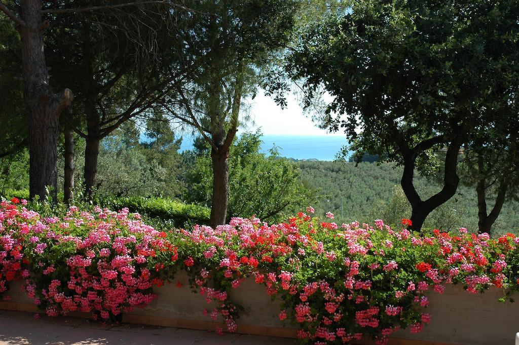 Colle Moro - B&B Villa Maria Citta Sant'Angelo Luaran gambar